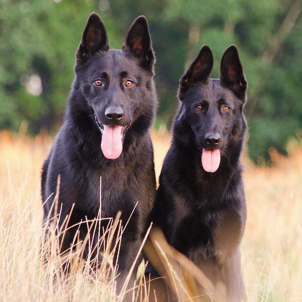 Purchase Additional Seats for Team Members