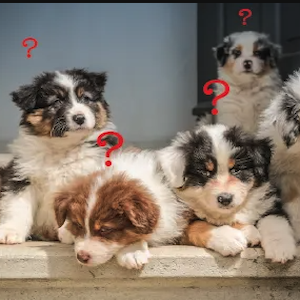 Frequently Asked Questions