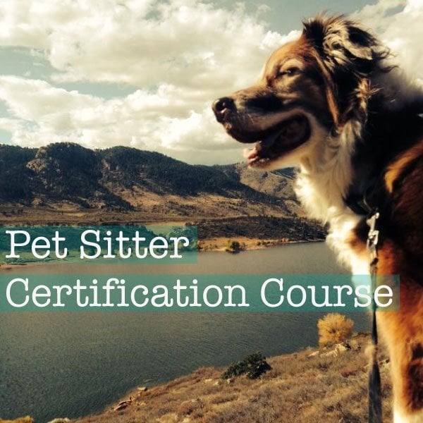 Pet Sitter Certification Course: CPS-DW