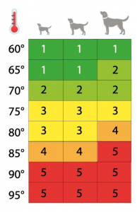 Danger Levels for Walking Dogs in Hot Weather