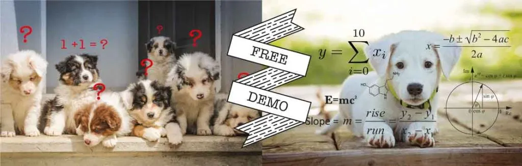 Pet Sitter Dog Walker Certification and Training Free Demo