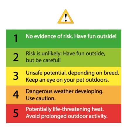 Pet Risks Wallpaper A Proven Hot Weather Policy for Professional Dog Walkers