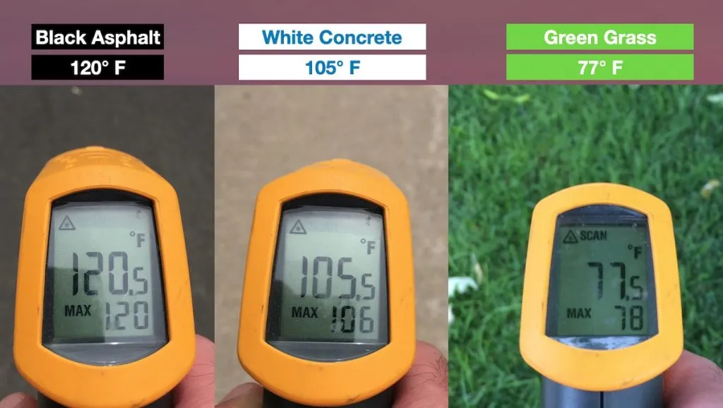 Hot Weather Dog Walking Safety