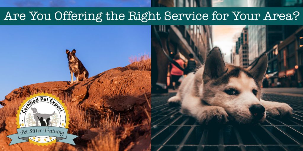 Are you offering the right services for your area?