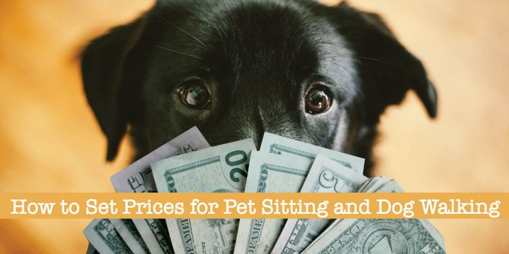How to much to charge for pet sitting