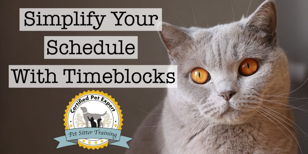 Simplify Your Schedule With Timeblocks