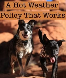 A Hot Weather Policy That Works