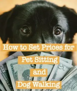 How to set prices for pet sitting and dog walking