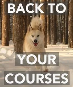 Back to your course