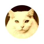 Cat Pet Sitter Training