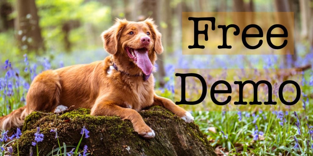 Free Demo