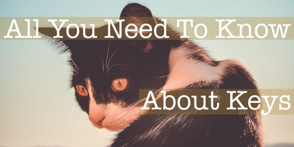 all pet sitters need to know about keys