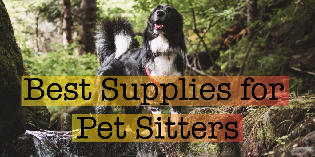 best supplies for pet sitters