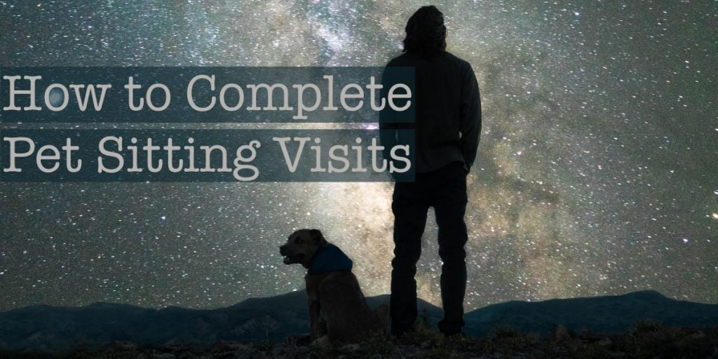 how to complete pet sitting visits