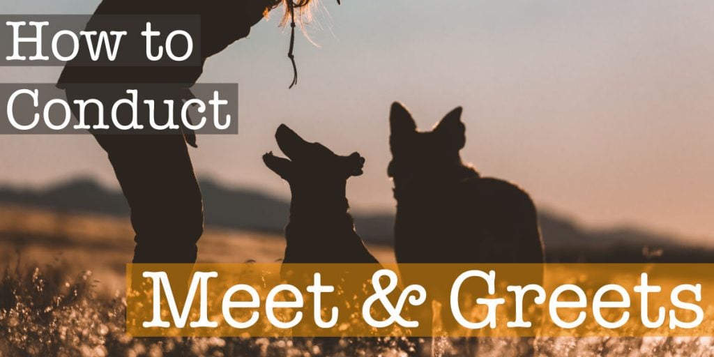 how to conduct meet & greets