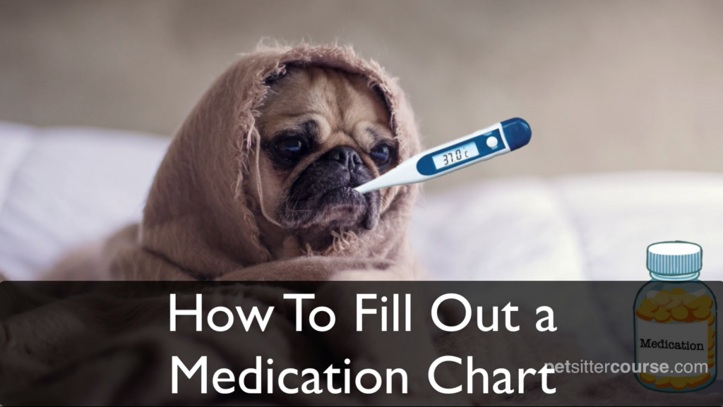 How to fill out a pet sitting medication chart