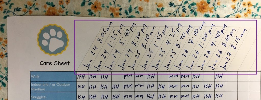 Care sheet with top section filled out