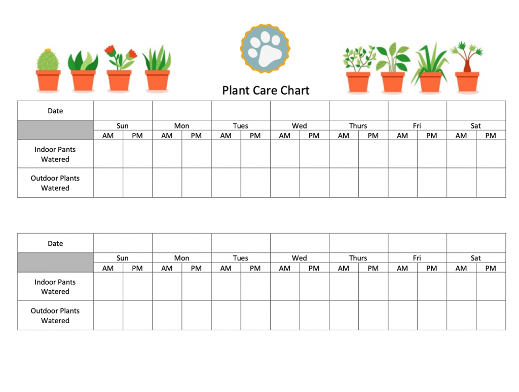 Plant Care Chart for Pet Sitters