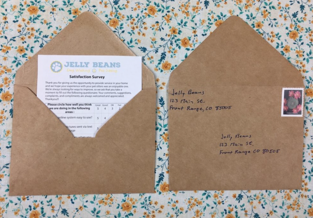 Satisfaction Survey 1