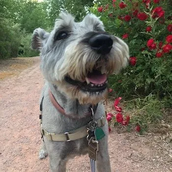 Access Private Coaching