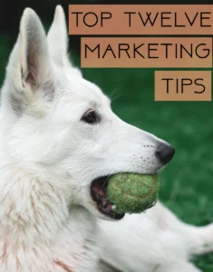 12 Marketing Tips for Pet Sitters and Dog Walkers