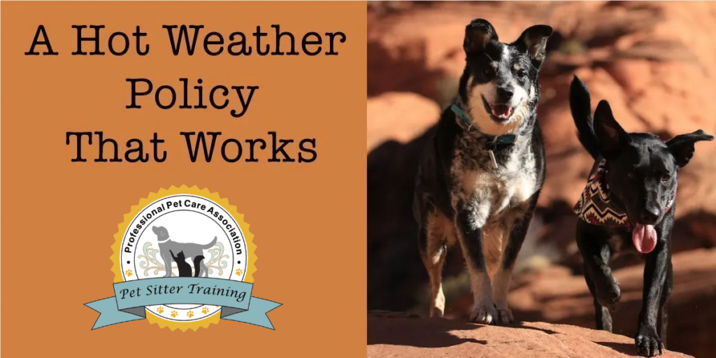 1200 x 600 Hot Weather Policy