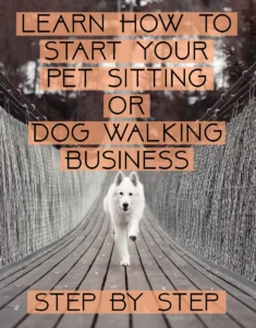 Learn How to Start Your Pet Sitting Business