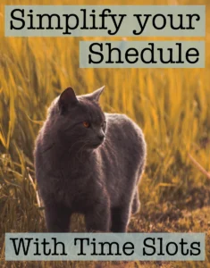 Simplify your schedule with time slots